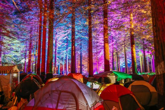 Burning Bright at Burn in the Forest: A Transformational Celebration in Vancouver, Canada.  What to wear to BIF?  | Furrocious Furr