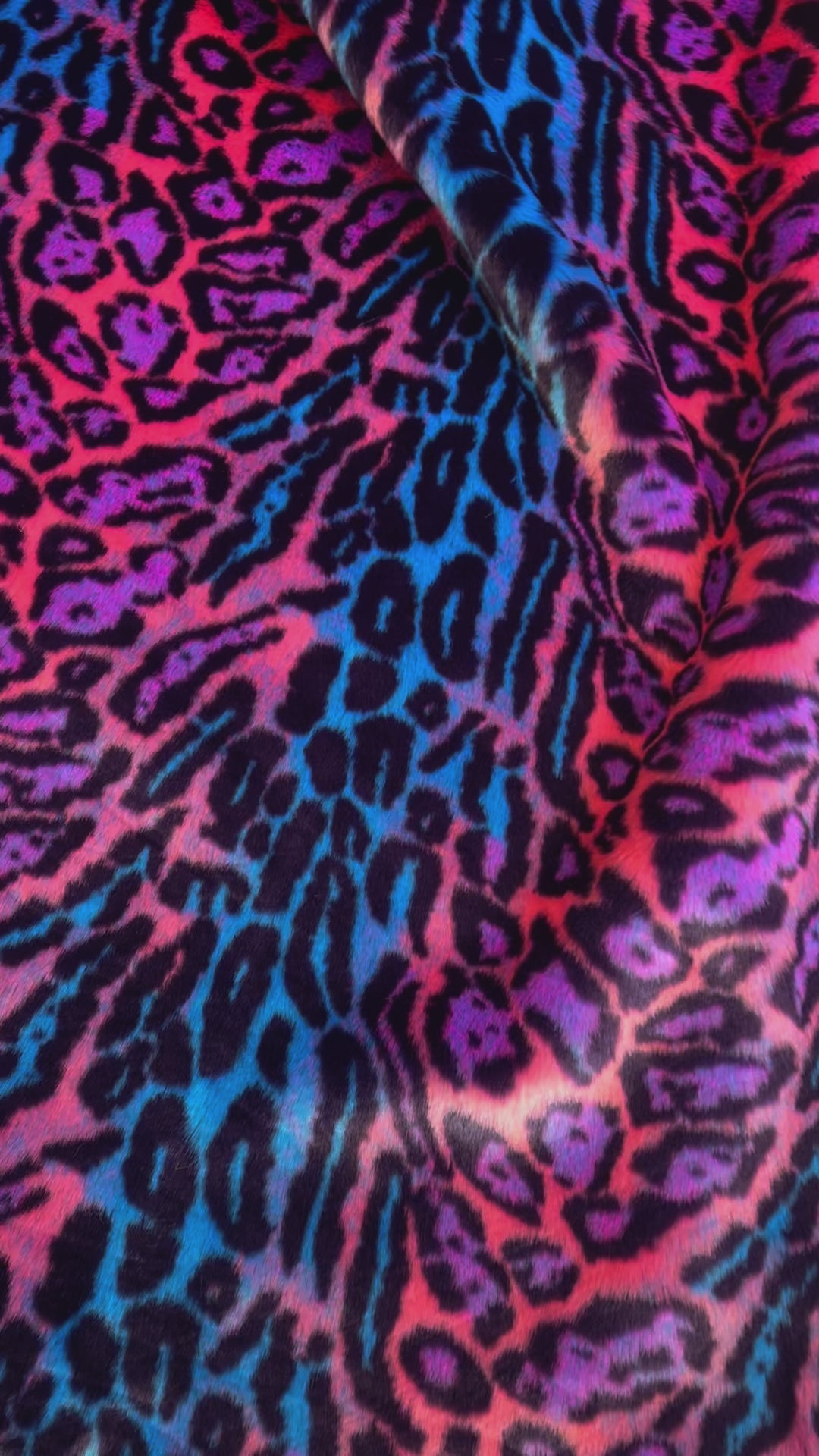 Neon Cheetah - Pink Blue